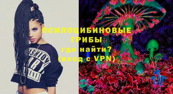 синтетический гашиш Новодвинск
