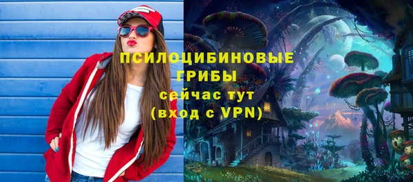 твердый Нязепетровск