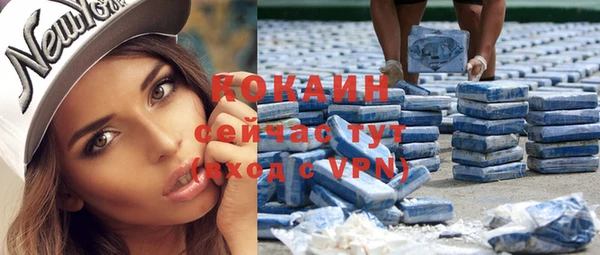 apvp Няндома