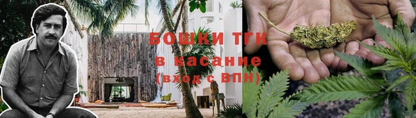 крисы Щигры