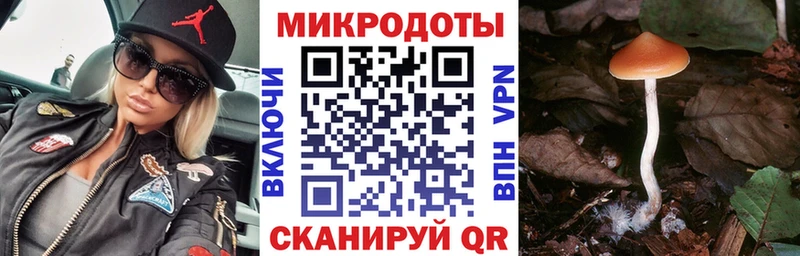 мориарти как зайти  где продают   Заволжье  Псилоцибиновые грибы MAGIC MUSHROOMS 