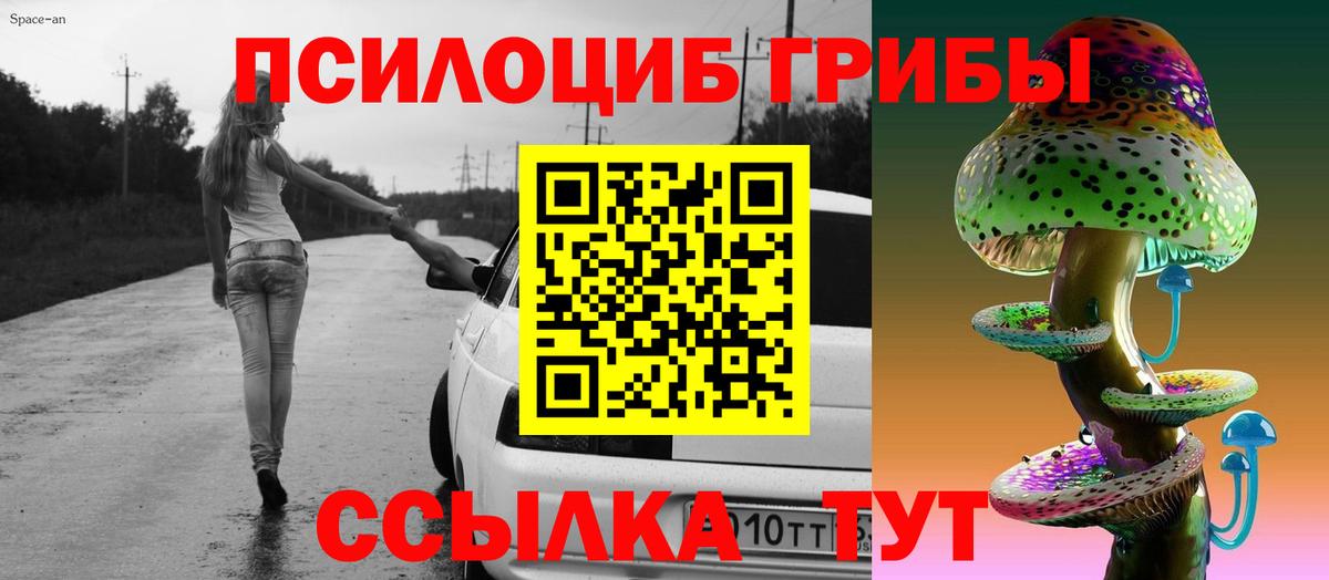 Галлюциногенные грибы MAGIC MUSHROOMS  Заволжье 